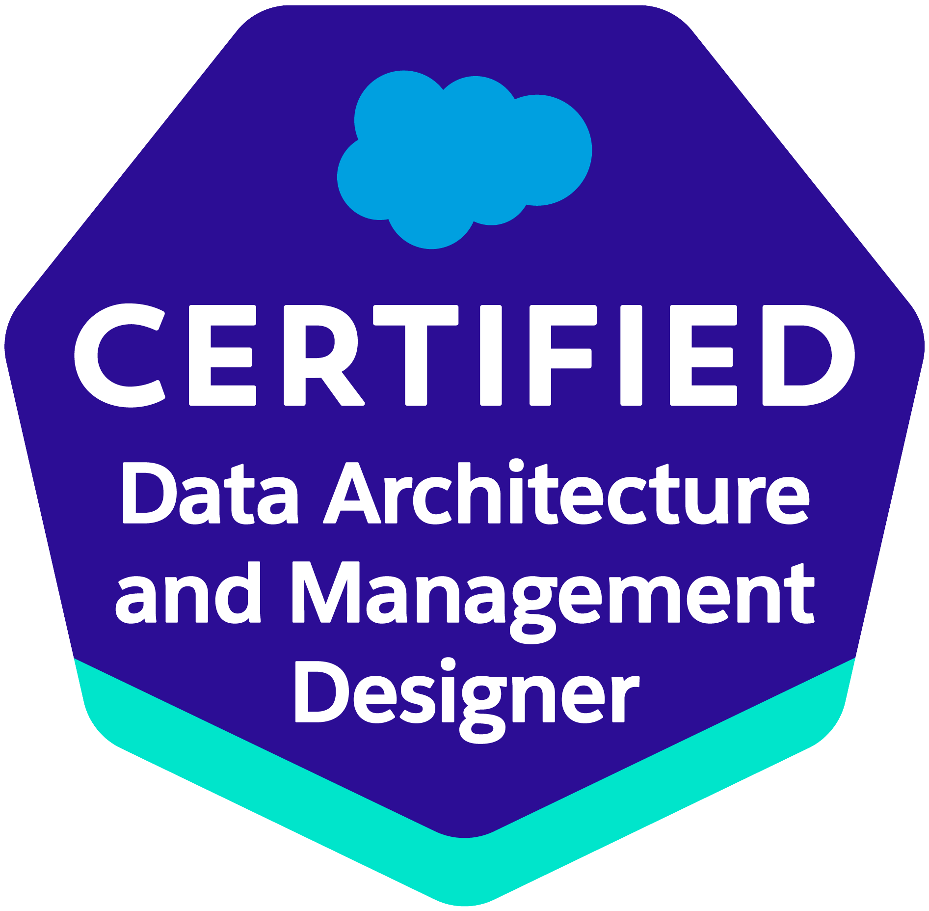 Data Architecture & Management Designer_