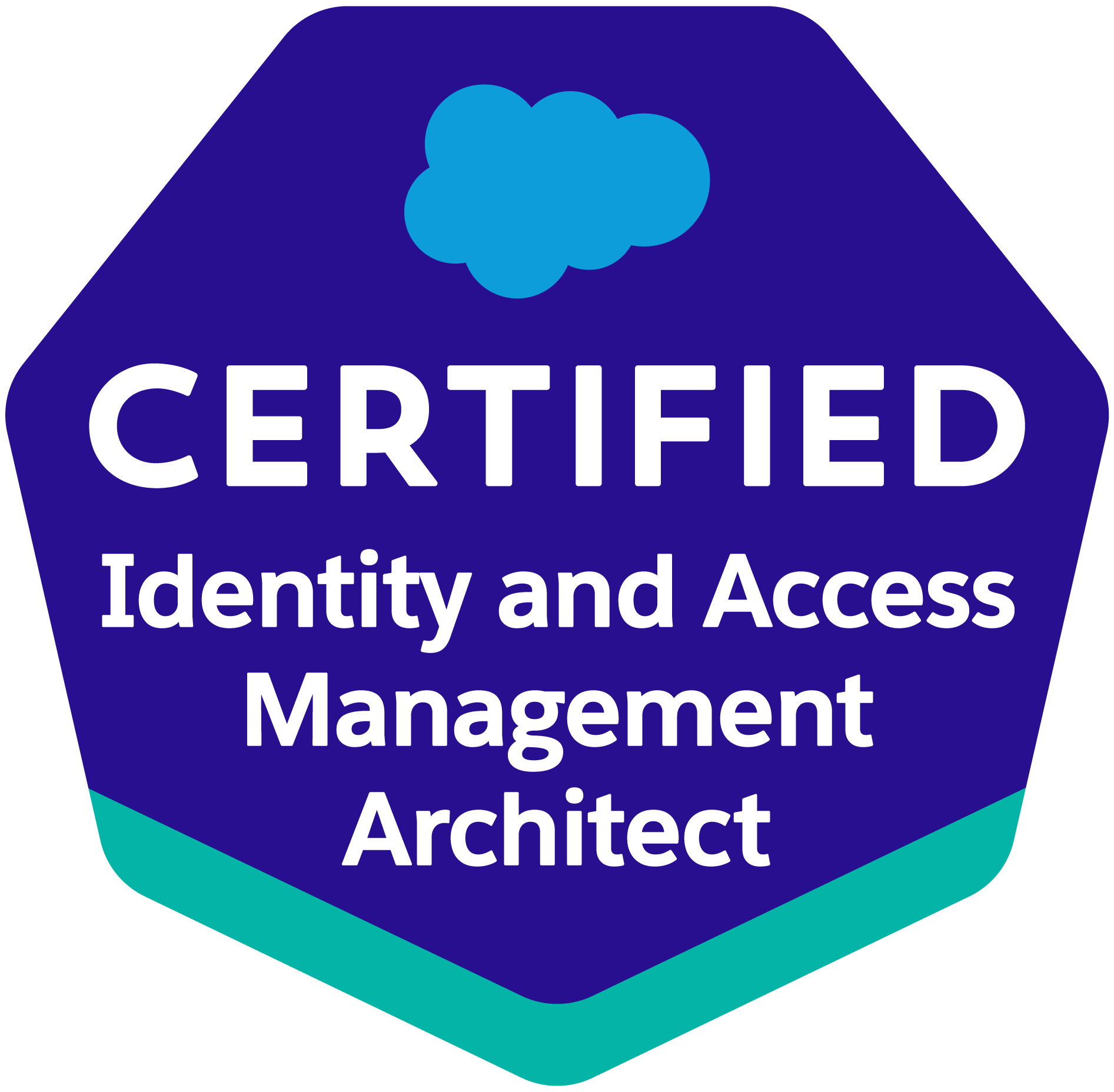 ID-and-Access-Mgmt-Architect