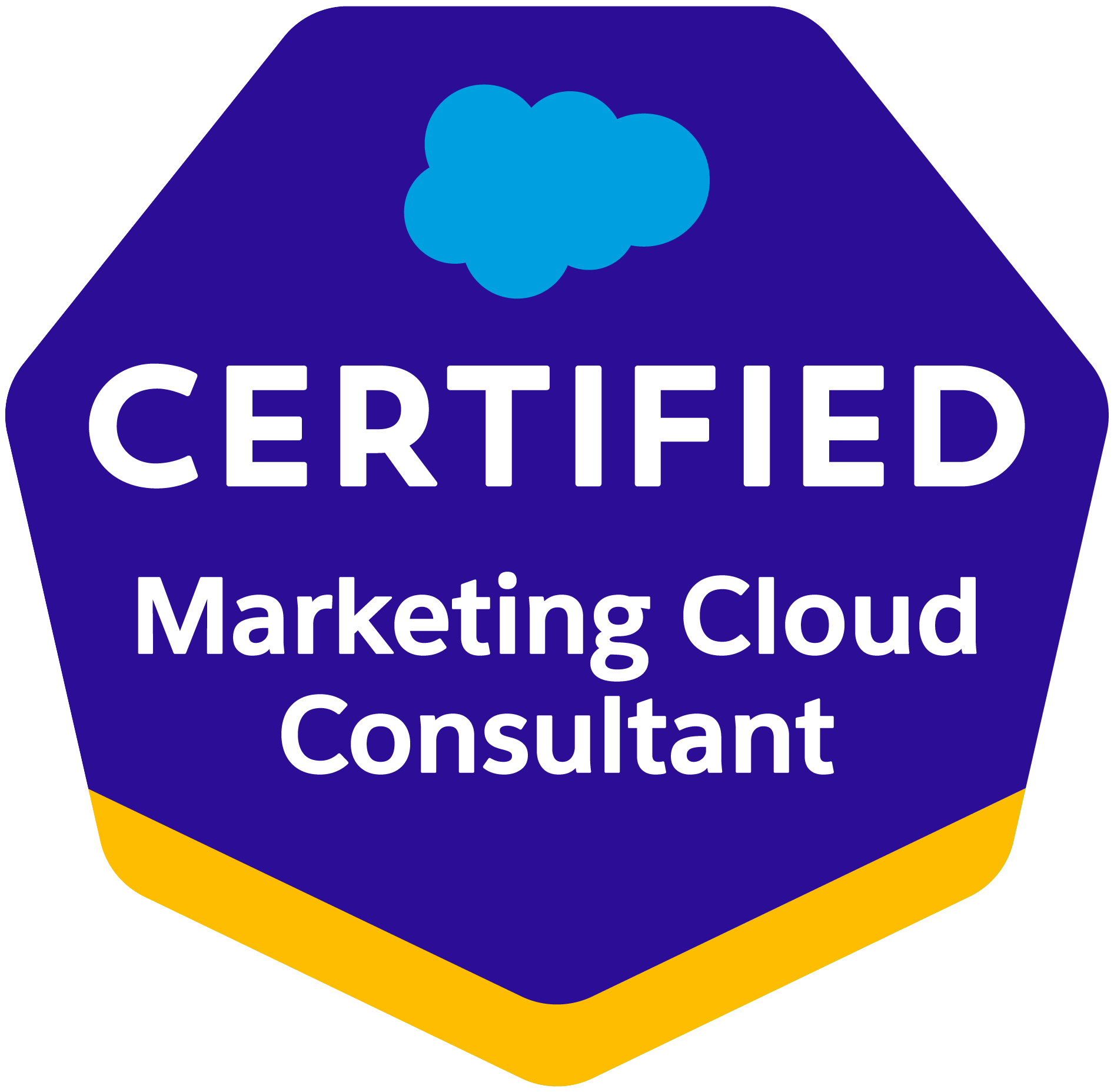 Marketing Cloud Consultant_