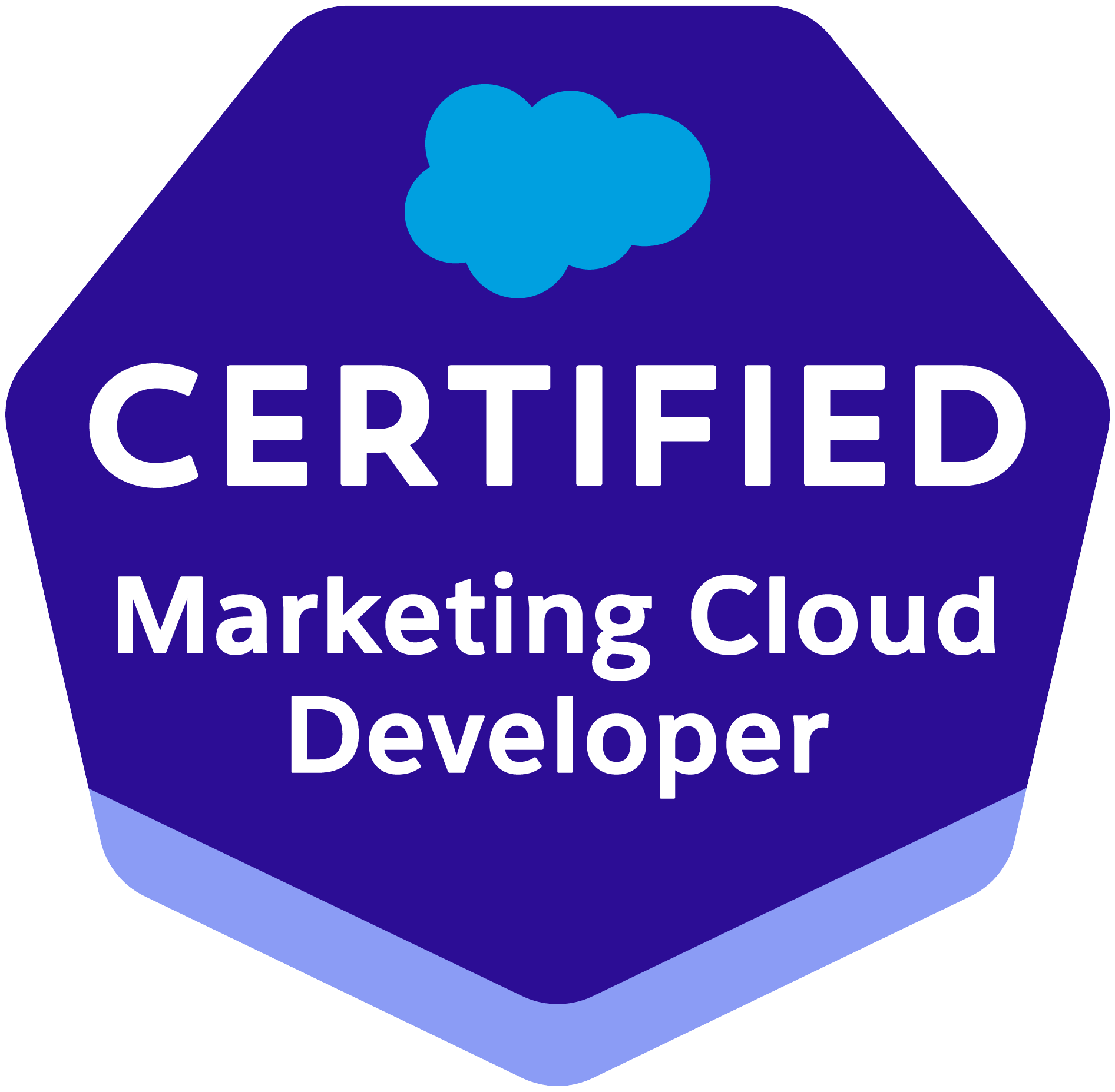 Marketing Cloud Developer_