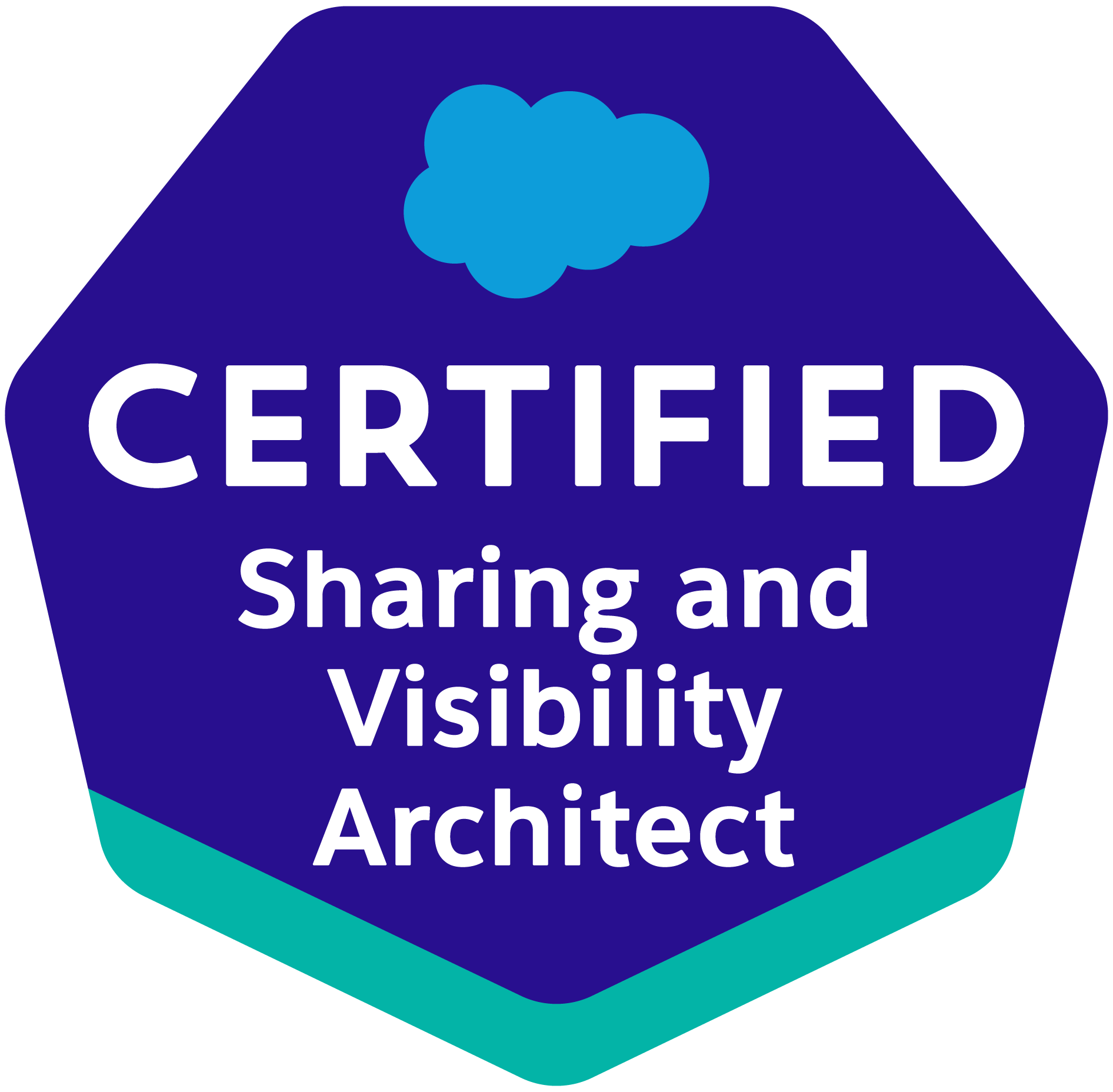 Sharing-and-Visibility-Architect