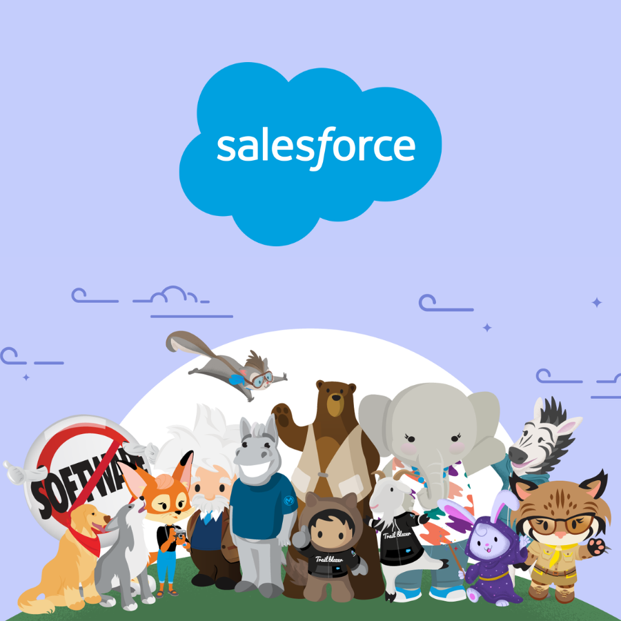 Gimasys Salesforce Partner in Vietnam