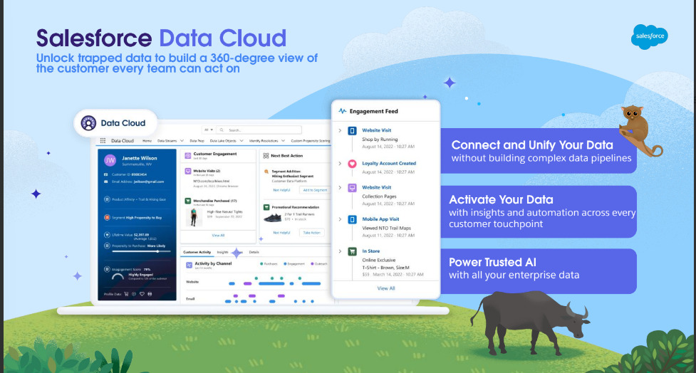 Sơ lược về Salesforce Data Cloud