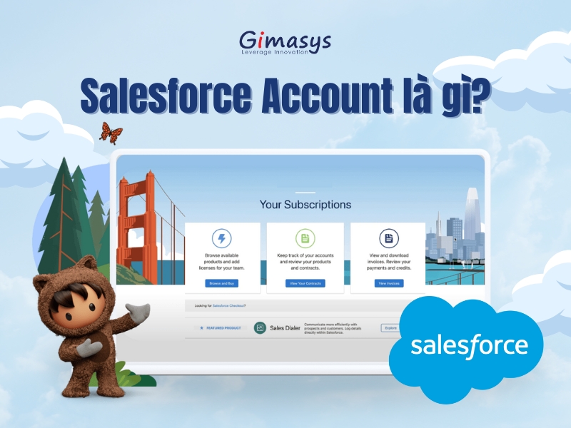 Salesforce Account là gì?